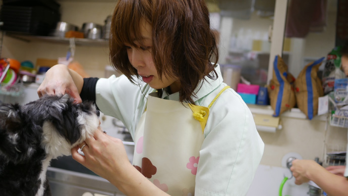 トリミング・受付業務・電話対応・検査・診療補助