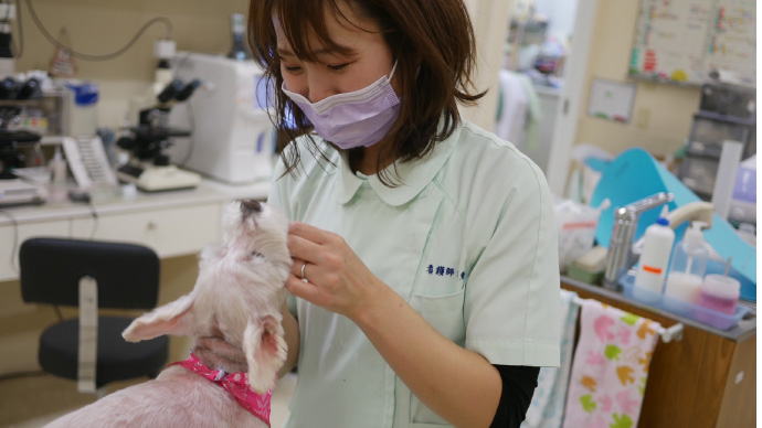 飼い主様の笑顔・動物たちとのふれあい