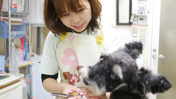 動物が好きで飼い主様のために何かしたい方には天職！