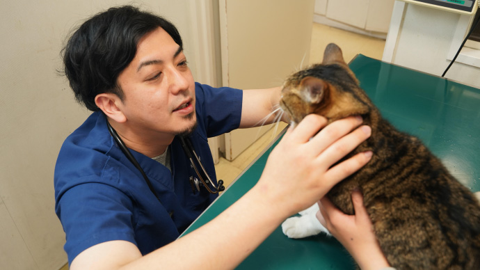 みなさんの力を分けてください