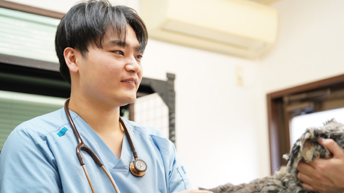 日々の業務内容