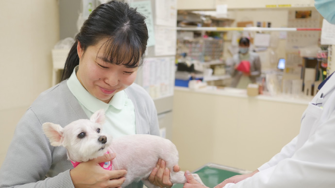 病院内の雰囲気に惹かれて