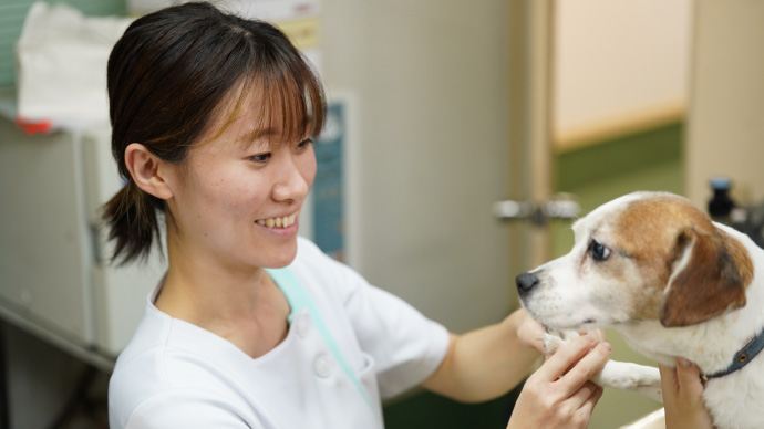 飼い主からスタッフに