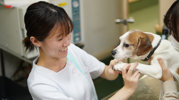 学んだ知識をさらに磨ける