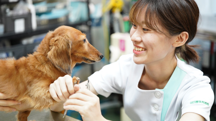 自信を持って頑張って！